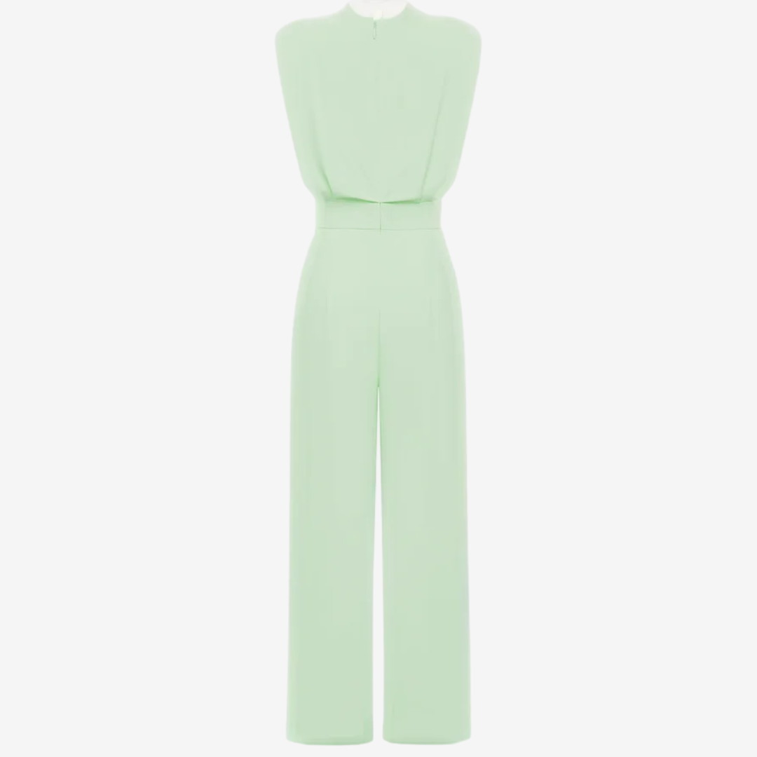 Ariia Jumpsuit with Defined Waist